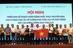 Phát động tháng cao điểm toàn quốc chống khai thác IUU