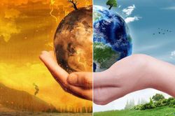 Chính phủ phê duyệt Thỏa thuận thực hiện theo Điều 6 Thỏa thuận Paris về biến đổi khí hậu