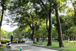 Ươm mầm không gian sáng tạo