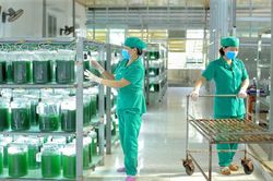 To&agrave;n tỉnh Nghệ An đang c&oacute; 588 sản phẩm OCOP