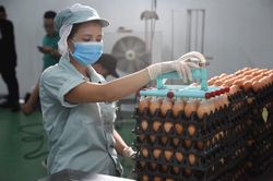 Bài 2: Mở rộng mô hình sản xuất theo chuỗi khép kín