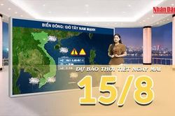 [Video] Dự b&aacute;o thời tiết đ&ecirc;m nay v&agrave; ng&agrave;y mai ng&agrave;y 15/8/2026: Mưa gia tăng tại Bắc Bộ v&agrave; Trung Bộ, Nam Bộ tiếp tục c&oacute; d&ocirc;ng