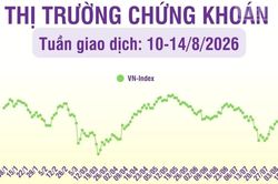 [Infographic] Chứng khoán tuần 10-14/8: Áp lực gia tăng, VN-Index kiểm định vùng giá 1.700 điểm