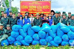 Đoàn Kinh tế - Quốc phòng 710 (Binh đoàn 15): Nhân rộng giống lúa ST 25 trên địa bàn biên giới xã Ia Mơ, tỉnh Gia Lai