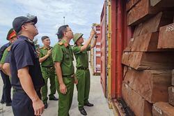 Lật tẩy thủ đoạn cất giấu gần 1,2 tấn ngà voi trong 3 container gỗ