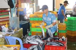 Từ cuốn sổ đến dữ liệu điện tử