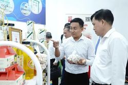 Liên kết phát triển sản phẩm OCOP, làng nghề và nông nghiệp trải nghiệm