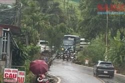 Vụ phát hiện thi thể trong rẫy cà phê: Nghi phạm là giáo viên