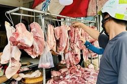 Giá heo hơi hôm nay 14/8: Xu hướng giảm bao trùm 3 miền, dao động trong khoảng 57.000 - 59.000 đồng/kg