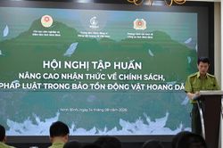 Tăng cường truyền thông pháp luật để người dân chung tay bảo tồn động vật hoang dã