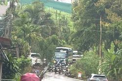 Nữ nhân viên thư viện mất liên lạc sau buổi liên hoan: Phát hiện thi thể ở rẫy cà phê