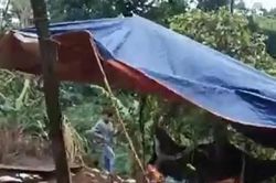 Nam giáo viên khai quá trình sát hại, phi tang thi thể nữ nhân viên thư viện cùng trường
