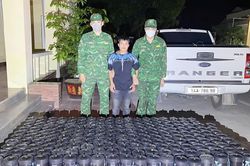 Thuê cửu vạn luồn rừng đưa khí cười qua biên giới