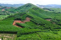 Khoanh vùng 3 vị trí nghi có hố chôn liệt sĩ