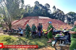 Huy động lực lượng t&igrave;m cụ &ocirc;ng mất t&iacute;ch khi đi cắt cỏ