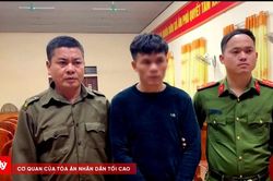B&iacute; mật trong chiếc xe b&ograve; cũ v&agrave; cuộc đ&agrave;o tho&aacute;t bất th&agrave;nh của '&ocirc;ng tr&ugrave;m' ma t&uacute;y