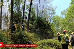 Huế căng m&igrave;nh ứng ph&oacute; 6 vụ ch&aacute;y rừng trong một ng&agrave;y