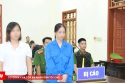 Vướng lao lý vì lừa đảo để đầu tư tiền ảo