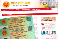 Có 2 mã số thuế cá nhân, làm cách nào để hợp nhất dữ liệu?