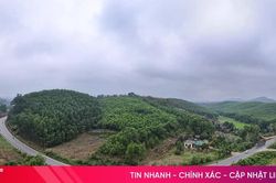 Thêm một nhà máy chế biến lâm sản được chấp thuận đầu tư tại Hà Tĩnh