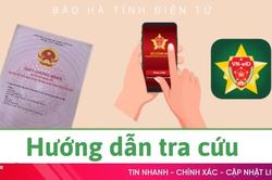 [Infographic] Hướng dẫn tra cứu 'sổ đỏ điện tử' trên VNeID