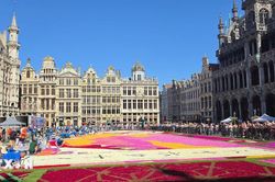 Chiêm ngưỡng thảm hoa khổng lồ tại quảng trường Grand-Place ở Brussels