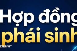 Hợp đồng phái sinh đang có hiệu lực không bị đình chỉ khi tòa mở thủ tục phá sản