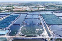 Nghị quyết 68-NQ/TW: Năm giải pháp để kinh tế tư nhân bứt phá
