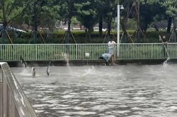 Hàng trăm con cá nhảy khỏi mặt nước, người dân thi nhau ra bắt