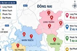 Gỡ vướng pháp lý cho 8 dự án bất động sản ở Đồng Nai