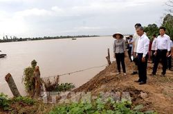 Vĩnh Long khảo sát, tìm giải pháp bảo vệ cồn Thanh Long trước sạt lở