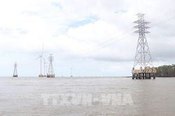 Cà Mau bứt phá năng lượng xanh: Mục tiêu thành trạm phát của ĐBSCL