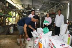 Đồng Tháp trao 'cần gạt nước', mở lối thoát nghèo cho hàng ngàn hộ dân