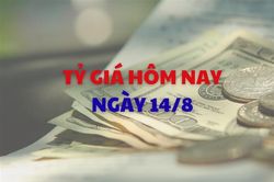 Tỷ gi&aacute; h&ocirc;m nay 14/8: Tỷ gi&aacute; trung t&acirc;m quay đầu giảm nhẹ