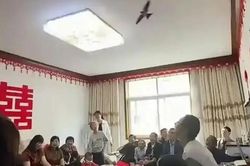 Cảnh tượng lạ xuất hiện trong đám cưới của cặp đôi trẻ, nhiều người chứng kiến xôn xao