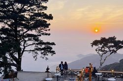 Cuối tuần lên Tam Đảo, tìm một khoảng bình yên cách Hà Nội không quá xa