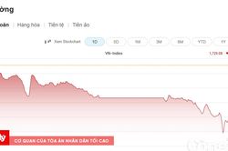 VN-Index rơi mạnh, sắc đỏ bao trùm