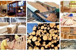 Xuất khẩu gỗ, sản phẩm gỗ sang Trung Quốc tăng vọt; Mỹ sụt giảm vì thuế quan