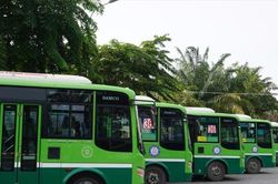 TP.Hồ Chí Minh ban hành khung quản lý mới về vận tải hành khách công cộng bằng xe buýt