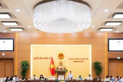 Chỉnh lý, hoàn thiện dự án luật, bảo đảm sự đồng bộ của hệ thống pháp luật