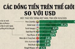 Những đồng tiền tăng, giảm mạnh nhất so với USD