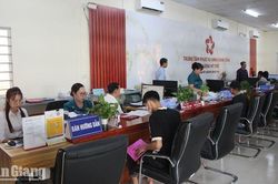 An Giang triển khai xếp ngạch công chức theo vị trí việc làm