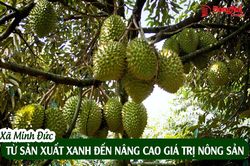 [Video] Xã Minh Đức: Từ sản xuất xanh đến nâng cao giá trị nông sản