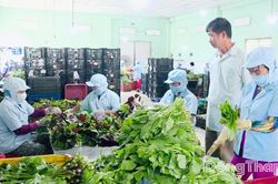 Xã Vĩnh Bình: Dồn lực bứt phá, quyết tâm hoàn thành thắng lợi nhiệm vụ năm 2026