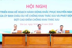 Tập trung c&aacute;c giải ph&aacute;p khắc phục khuyến nghị của EC