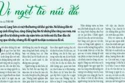 Vị ngọt từ núi đá