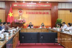 Họp trực tuyến Ban Chỉ đạo xây dựng trường học cho các xã biên giới