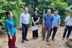 Khảo sát xây dựng mô hình nuôi gà thương phẩm tại Bảo Nhai