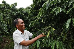 Những 'cánh chim đầu đàn' lặng lẽ