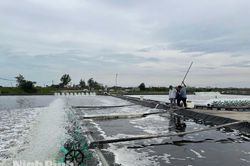 Về Hải Xuân ngắm bức tranh kinh tế đa sắc